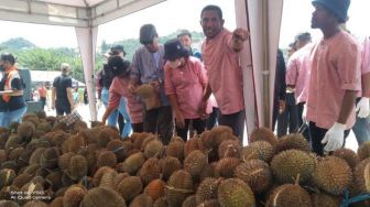 Tersedia 1000 Tiket untuk Makan Durian Sepuasnya di Jayapura