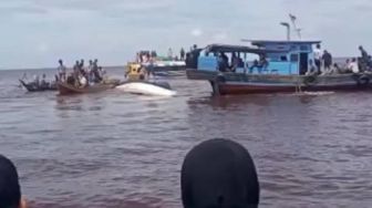 Total Penumpang Speed Boat Evelyn Calista 01 Capai 78 Orang