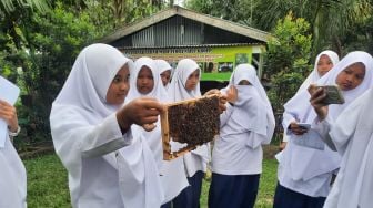 Pengusaha Madu Asal Siantar Tuai Kesuksesan dan Berdayakan Masyarakat Berkat BRI