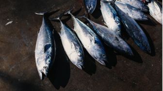 Baik untuk Jantung, Ini 5 Manfaat Ikan Tuna bagi Kesehatan Tubuh