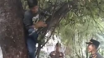Diduga Pendatang Baru dan Tak Punya Rumah, PMKS Ngumpet di Atas Pohon Hindari Razia Satpol PP di Kebayoran Lama