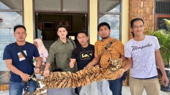 Polisi Tangkap Pelaku Penjualan Kulit Harimau Sumatera di Kerinci Jambi