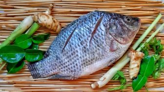 Jarang Diketahui, Ini 5 Manfaat Ikan Mujair bagi Kesehatan Tubuh