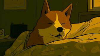 Dogecoin Wallet Tiba-tiba Aktif Setelah ‘Tertidur’ Selama 9 Tahun