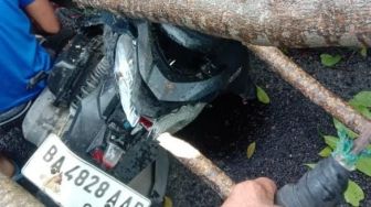 Driver Ojol di Padang Tewas Ditimpa Pohon Tumbang, Motornya Peyot