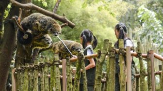 Kebun Binatang Bandung, Tempat Wisata Alam Edukasi Flora dan Fauna