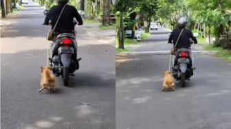 Bikin Emosi, Ibu-Ibu Tarik Anjing sambil Naik Motor hingga Kakinya Berdarah di Bali