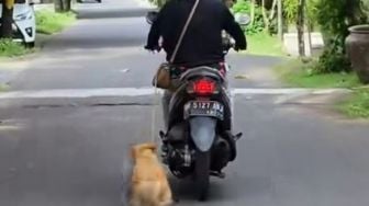 Video Seret Anjing Naik Motor Viral, Polisi Kini Cari Pelaku Dan Pengunggahnya