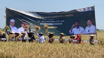 Panen Raya di Cirebon Mampu Menambah Jumlah Ketersediaan Beras Nasional