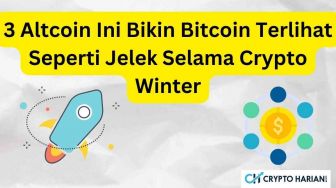 3 Altcoin Ini Bikin Bitcoin Terlihat Seperti Jelek Selama Crypto Winter