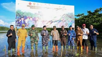 Sumbar Ikut Tanam Mangrove Serentak Seluruh Indonesia