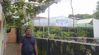 Cara Titan Sulap Gang Sempit di Cimahi Jadi Kebun Anggur Penuh Estetika Bernilai Ekonomis
