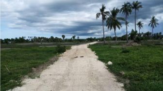Untuk Permudah Petani Jalankan Usahanya, Kementan Beri Bantuan JUT di Mauhau Sumba Timur