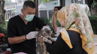 Petugas saat memberikan vaksinasi rabies kepada hewan peliharaan di Kelurahan Kebon Baru, Jakarta Selatan, Senin (22/5/2023). [Suara.com/Alfian Winanto]
