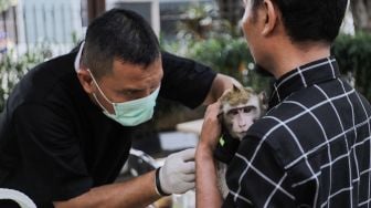 Petugas saat memberikan vaksinasi rabies kepada hewan peliharaan di Kelurahan Kebon Baru, Jakarta Selatan, Senin (22/5/2023). [Suara.com/Alfian Winanto]