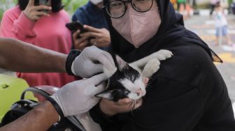 Hewan peliharaan saat divaksinasi rabies di Kelurahan Kebon Baru, Jakarta Selatan, Senin (22/5/2023). [Suara.com/Alfian Winanto]