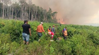 Hutan di Pesisir Selatan Terbakar, Api Menjalar Sejak 3 Hari Lalu