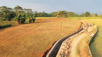 Petani Organik di Jawa Tengah Siap Lawan Gempuran El-Nino dengan Mengandalkan Jaringan Irigasi dan Sumur Resapan