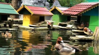 Eco Green Park, Tempat Wisata Edukasi Alam untuk Liburan Keluarga di Malang