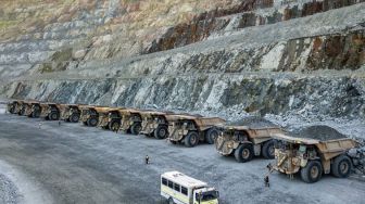 Amman Mineral Mulai Periode MSOP, Incar Dana Jumbo Rp1,2 Triliun