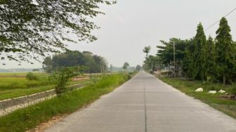 Pemkab Bojonegoro Rencanakan Pembangunan 170 Km  Jalan Lewat Dana BKK