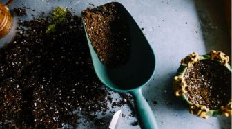 5 Tips Mengolah Sampah Dapur Menjadi Pupuk, Ternyata Sangat Mudah