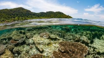 Kearifan Nelayan Taat Pantang Larang Wilayah Tangkap Pulau Gelasa, Lokasi Dibangun Pembangkit Tenaga Nuklir