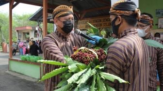 El Nino Akan Terjadi di Semester II 2023, Ini yang Perlu Disiapkan oleh Petani Kopi Indonesia