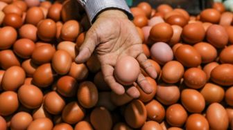 Pedagang menata telur ayam yang akan dijual di Pasar Tebet, Jakarta Selatan, Jumat (9/6/2023). [Suara.com/Alfian Winanto]