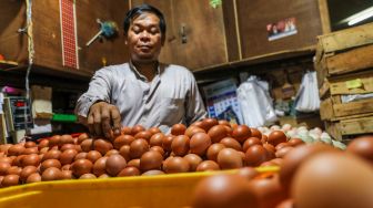 Pedagang menata telur ayam yang akan dijual di Pasar Tebet, Jakarta Selatan, Jumat (9/6/2023). [Suara.com/Alfian Winanto]