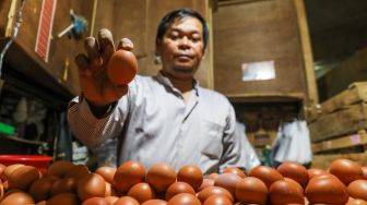Pedagang menata telur ayam yang akan dijual di Pasar Tebet, Jakarta Selatan, Jumat (9/6/2023). [Suara.com/Alfian Winanto]
