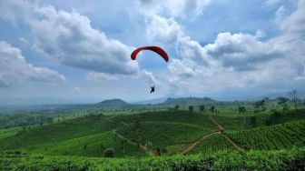 Menakjubkan! Berikut 4 Rekomendasi Wisata Paralayang Terbaik di Indonesia