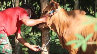 Niat Qurban untuk Diri Sendiri dan Keluarga, Baca Sebelum Hewan Disembelih