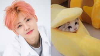 Cute Abis, Jaemin NCT Buat Akun Instagram Khusus untuk Kucingnya