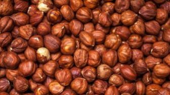 Apakah Hazelnut Sama dengan Kemiri? Serupa Tapi Tak Sama, Ini Beda Manfaatnya