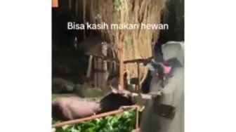 Viral Pernikahan di Gembira Loka Zoo, Ini Tanggapan Manajemen