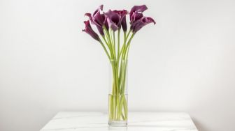 5 Tips Merawat Bunga Hias Potong di Vas agar Tetap Segar dan Cantik