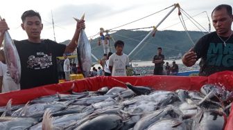 Sistem Resi Gudang Diminati Nelayan, Registrasi Resi Gudang Komoditas Ikan Meningkat Tajam