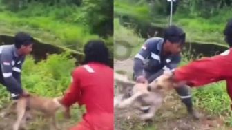 Viral Pekerja Lempar Anjing Hidup Jadi Makanan Buaya, Ketua Animal Defenders Indonesia Murka: Mentalnya Sakit!