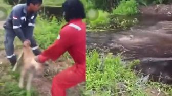 Buang Anjing Ke Sungai Diterkam Buaya, 3 Pria Di Nunukan Jadi Tersangka