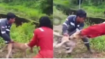 Polemik Pria Lempar Anjing ke Kolam Buaya: Dikecam Erick Thohir, Pelaku Jadi Tersangka