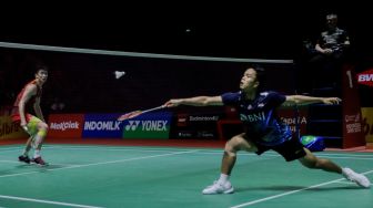 Pebulu tangkis tunggal putra Indonesia Anthony Sinisuka Ginting saat bertanding dengan tunggal putra China Li Shi Feng dalam babak Semifinal turnamen Indonesia Open 2023 di Istora Senayan, Jakarta, Sabtu (17/6/2023). [Suara.com/Alfian Winanto]