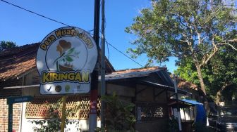 Icip Nikmatnya Jamu Tradisional dari Desa Wisata Jamu Kiringan Bantul