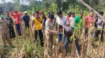 Polres Ngawi Beber Hasil Autopsi Jasad Perempuan di Kebun Jagung, Terungkap Fakta Baru