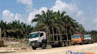 Tidak Penuhi Janji, Warga Tutup Akses Jalan Truck PT Arara Abadi