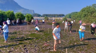 Lestarikan Hutan Mangrove, Nelayan di Jember Diberikan Edukasi dan Konservasi Pantai