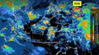 BMKG Deteksi Kemunculan Bibit Siklon di Utara Papua, Tinggi Gelombang di Laut Bisa Sampai 2,5 Meter