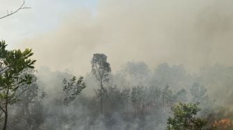 Kabar Terbaru Kebakaran di Lereng Gunung Arjuno, Polisi Turun Tangan