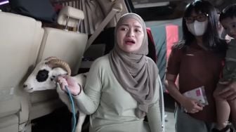 Nathalie Holscher Tegaskan Bayar Sendiri Biaya Perawatan Anak di RS, Sindir Sule?