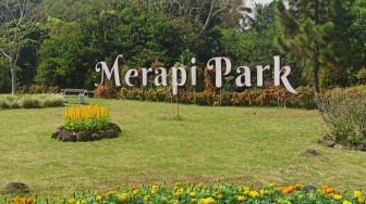 Rayakan Ulang Tahun ke-6, Merapi Park Gelar Festival Kuliner hingga Beragam Lomba Menarik